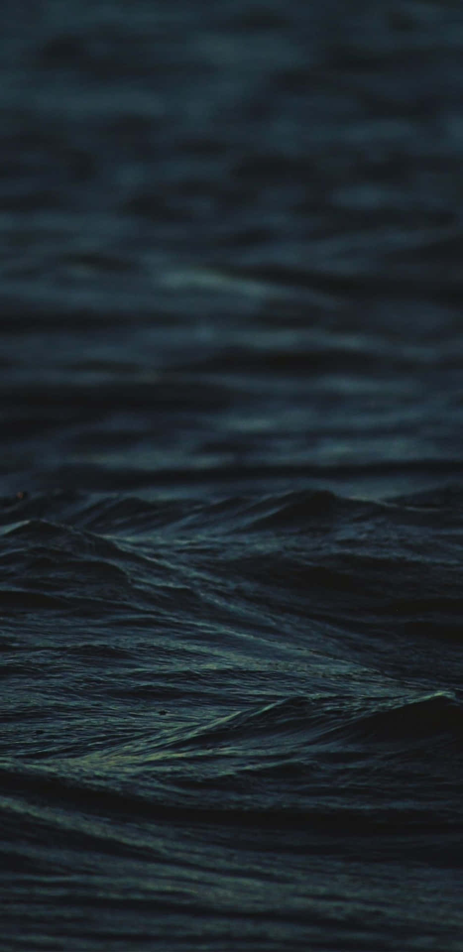 Midnight Adventure Wallpaper