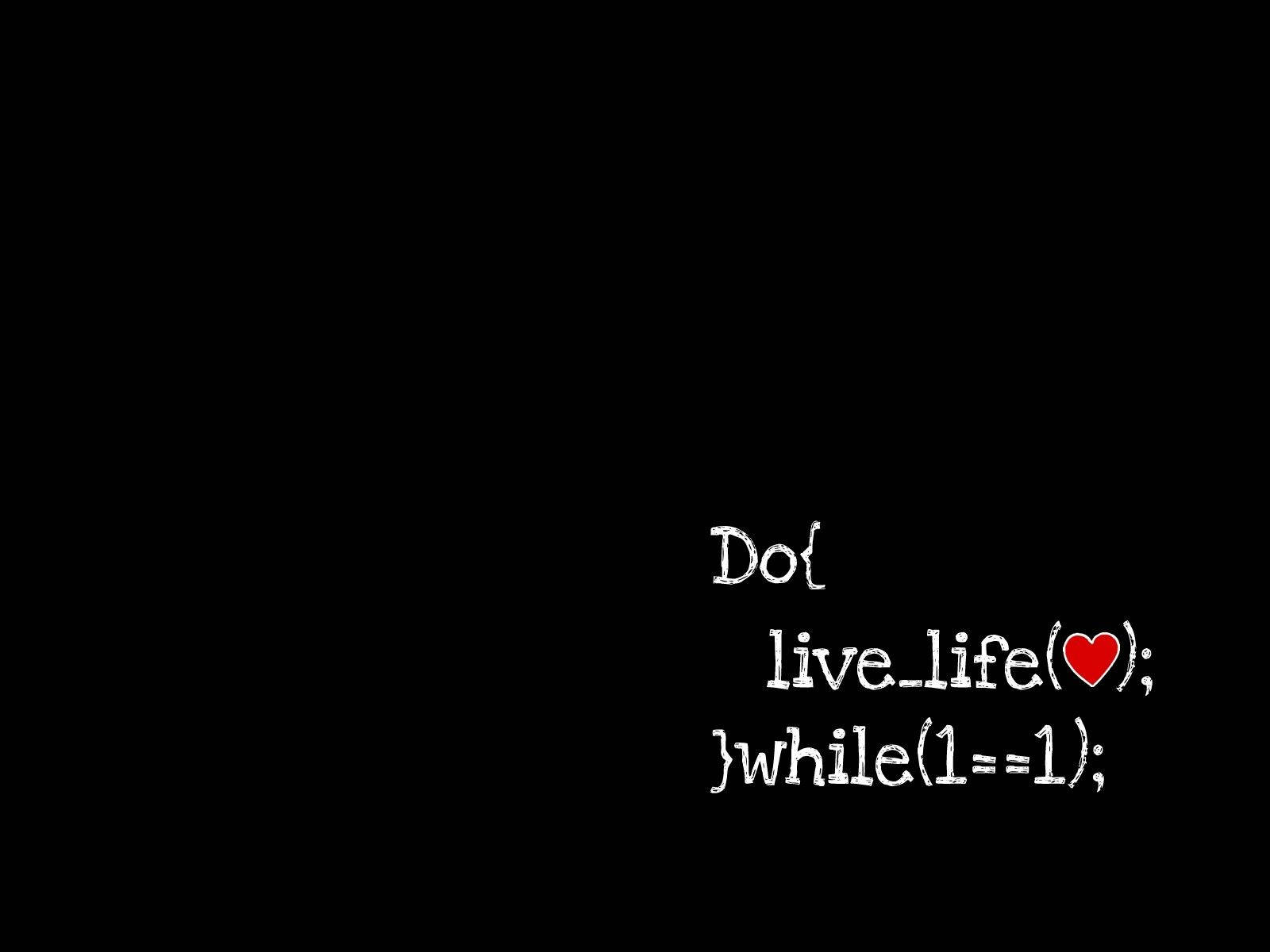 4k Programming HD Wallpaper