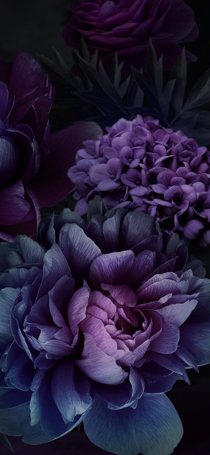 Purple Flowers Wallpaper for a Vintage Vibe