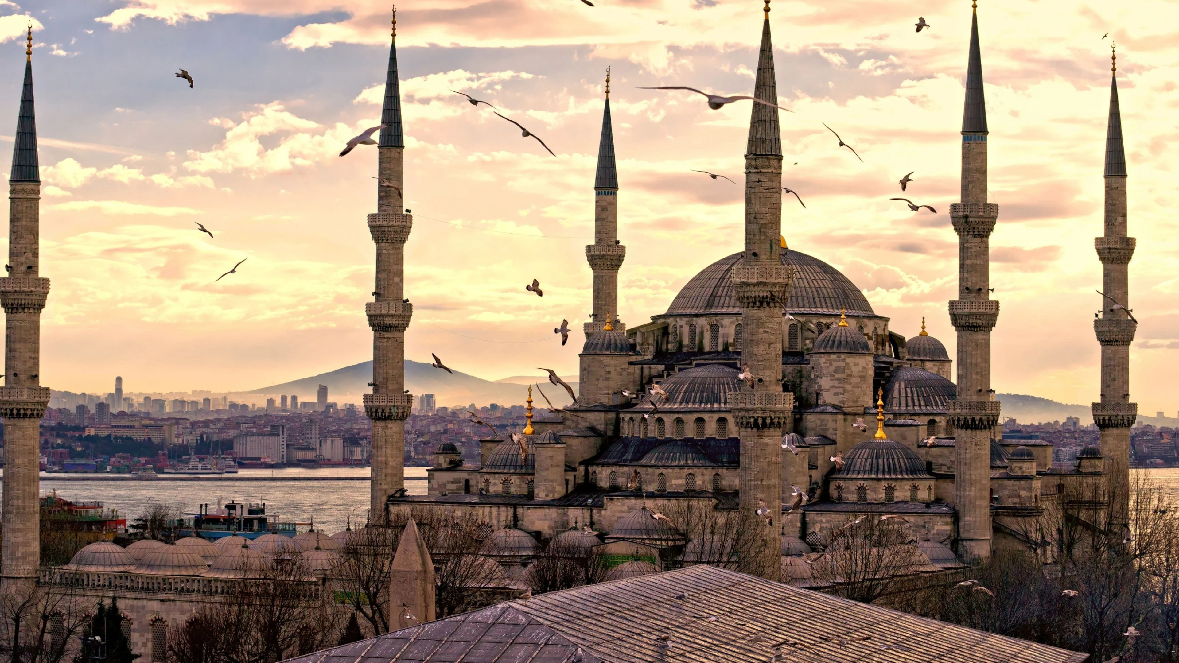 Blue Mosque Wallpaper