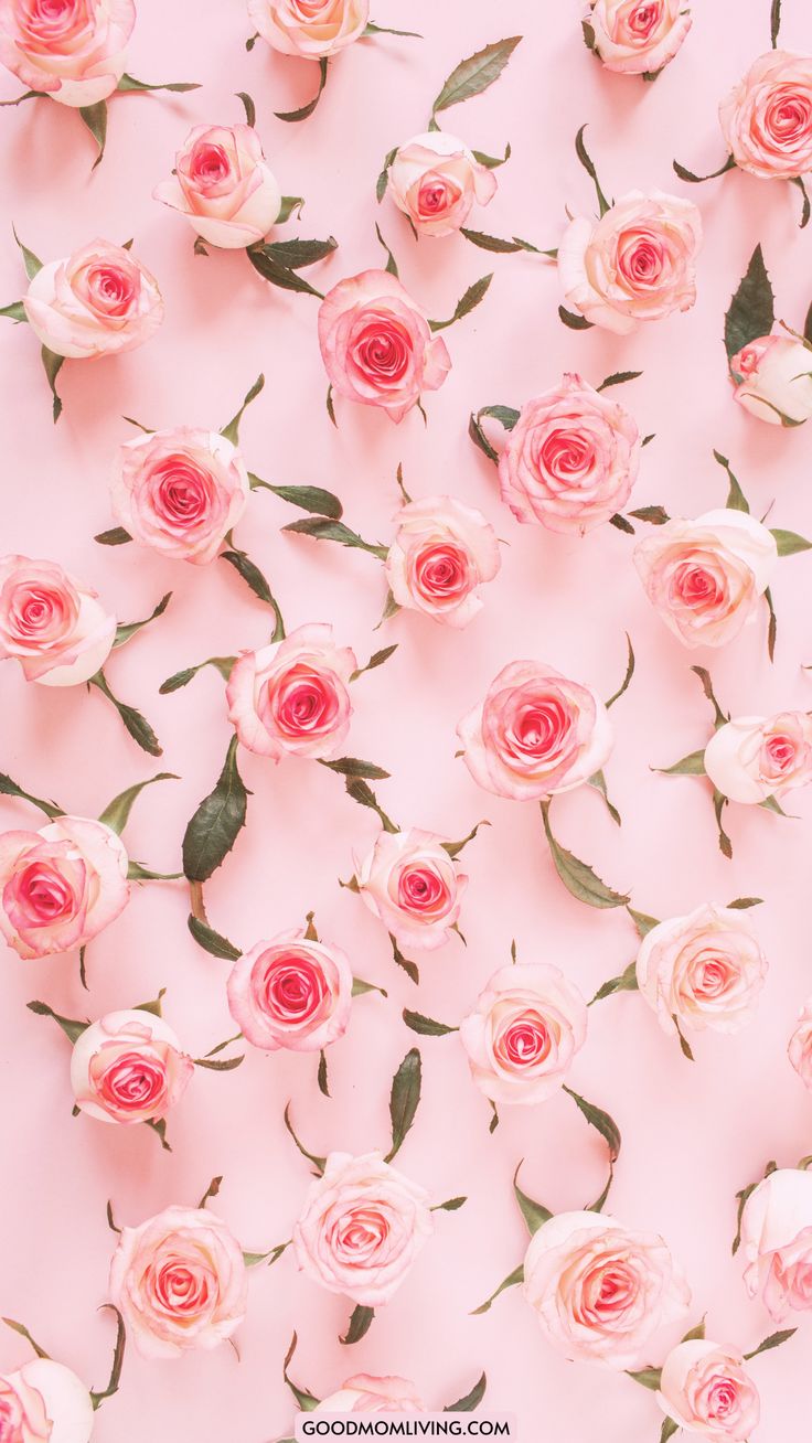 Pink Aesthetic Wallpaper Phone HD