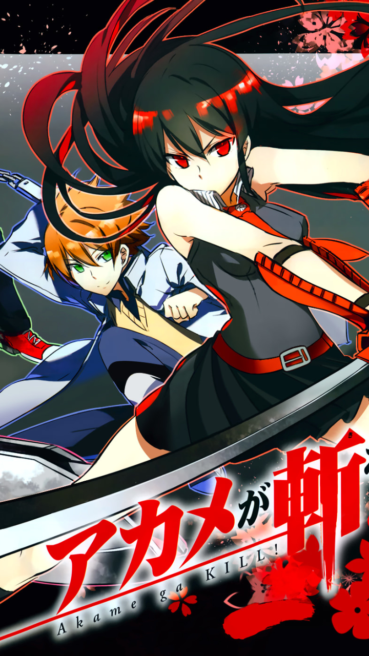 Anime, Akame Akame Ga Kill
