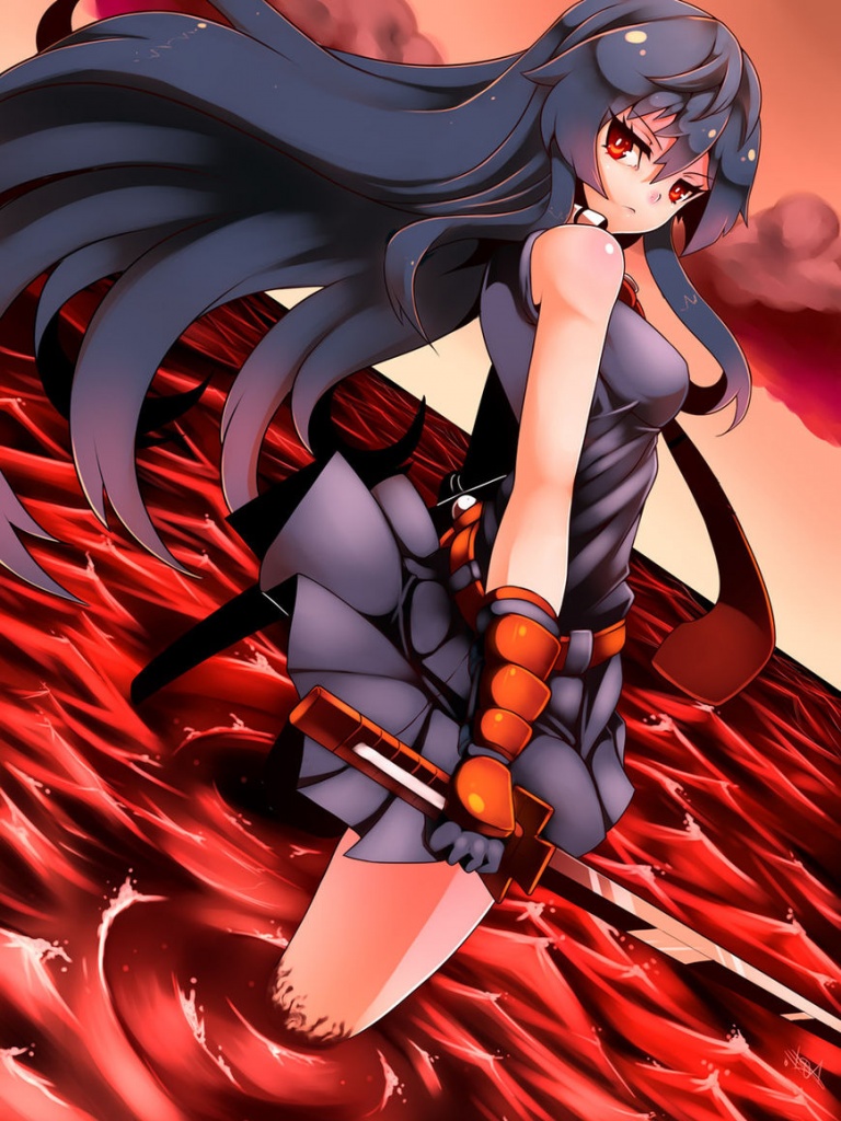 akame ga kill Ultra HD Wallpaper for 4K