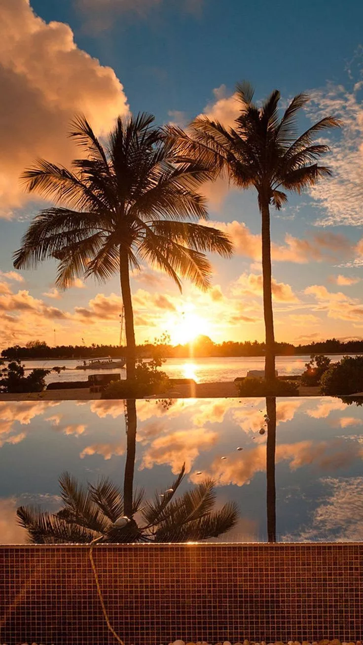 Tropical Hawaiian Sunset Wallpaper