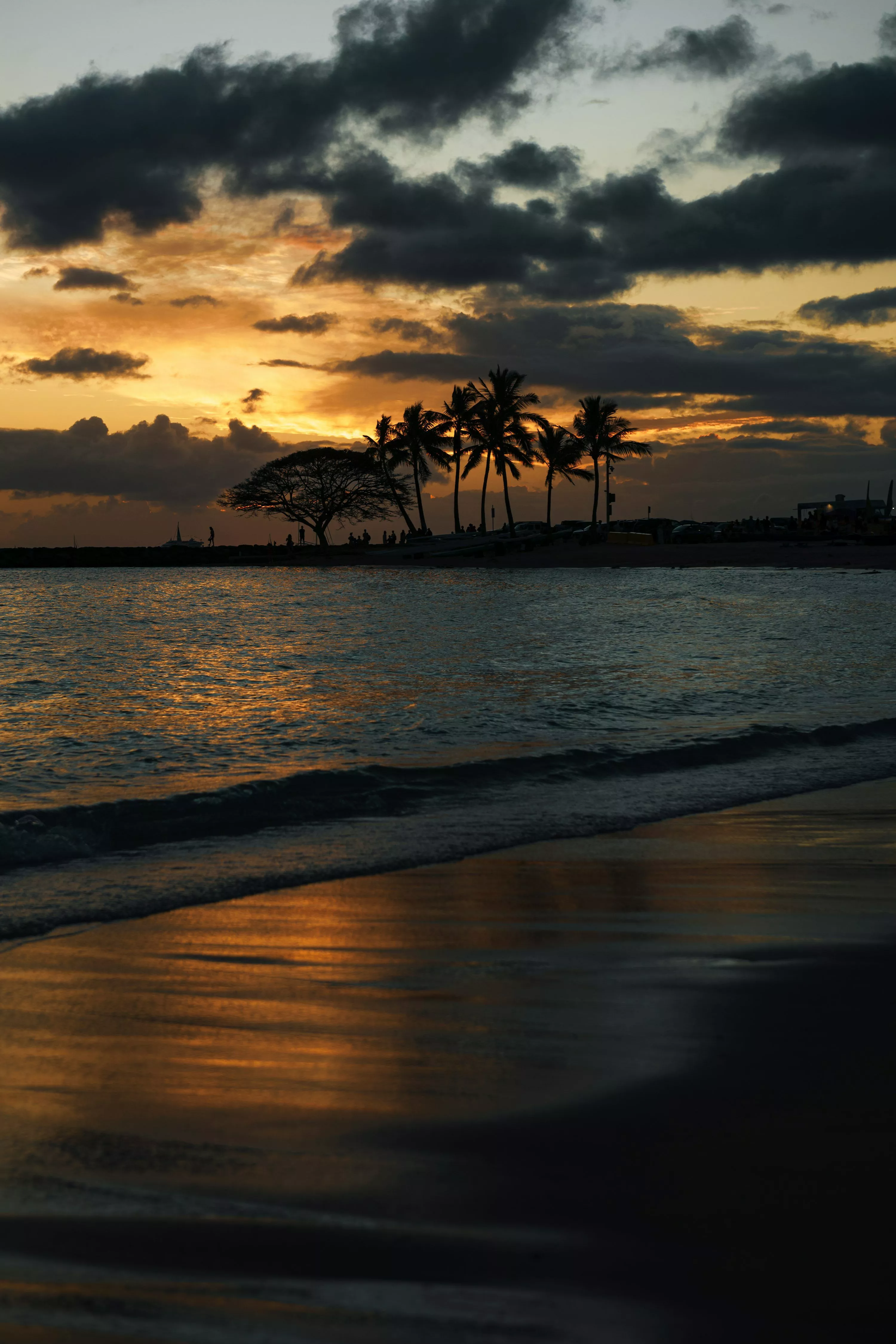 A sunset on a beach with palm trees