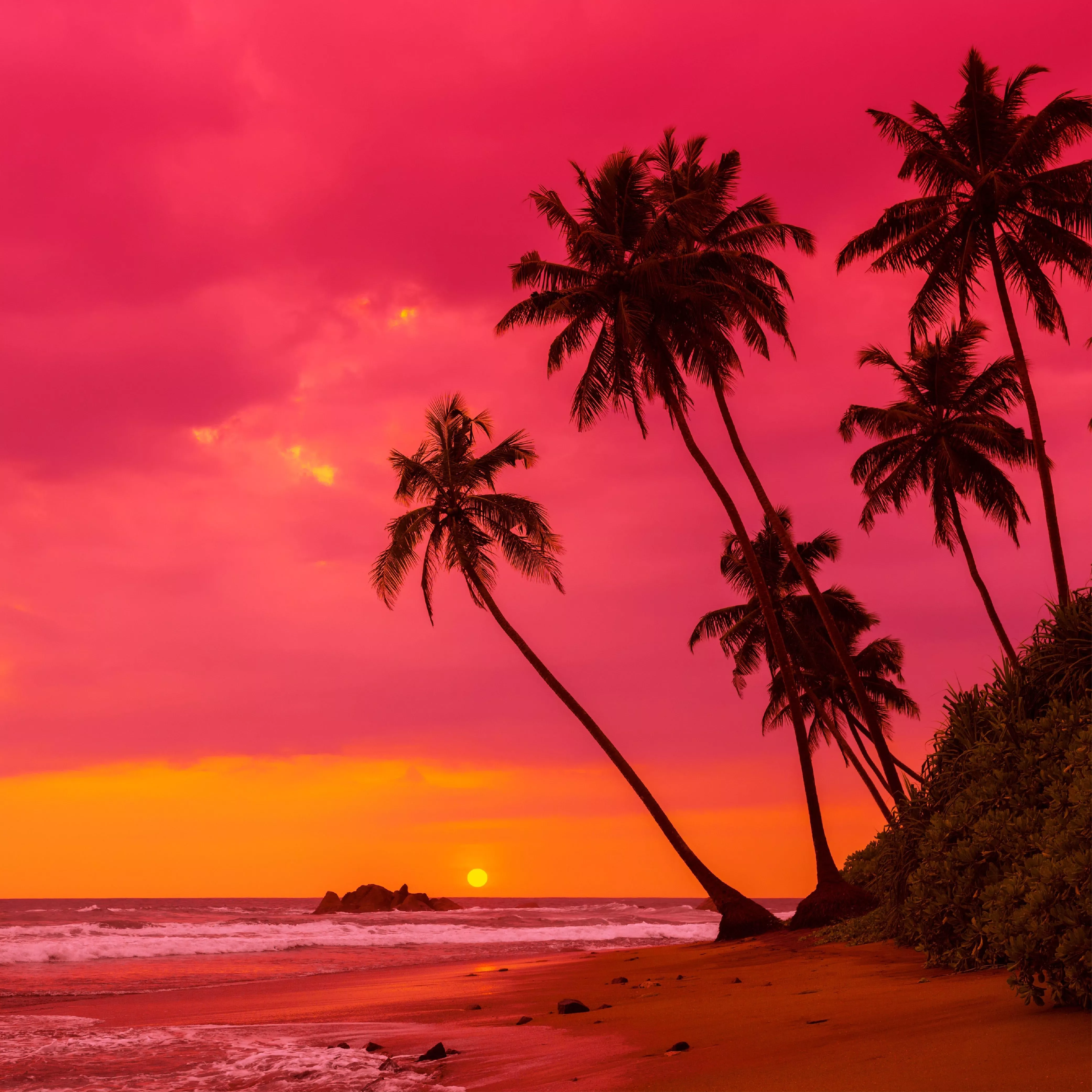 Hawaiian Sunrise Oil