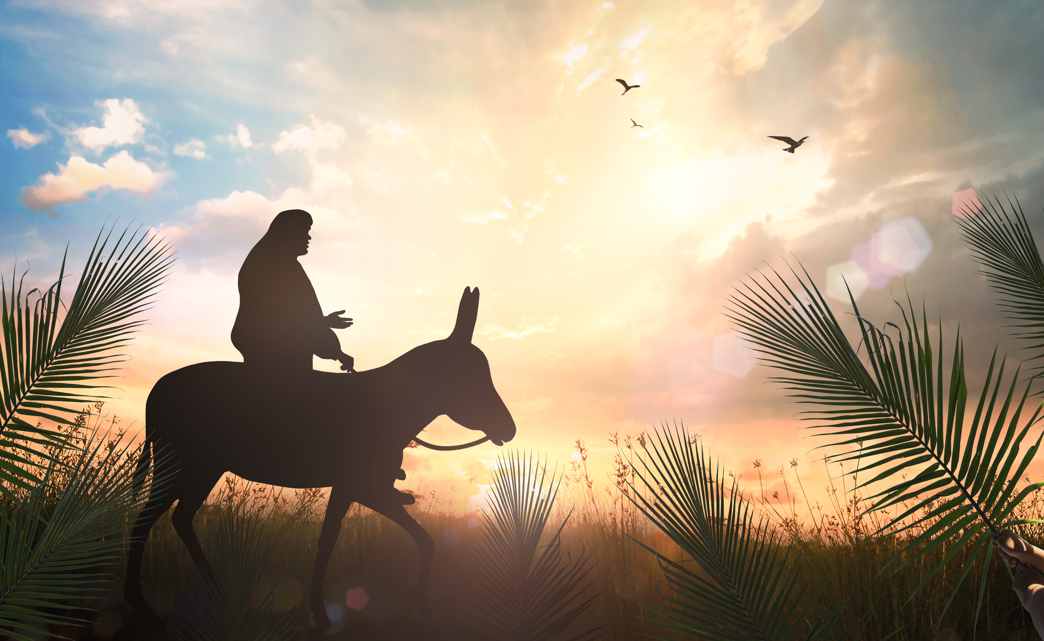 Jesus' Triumphal Entry into Jerusalem