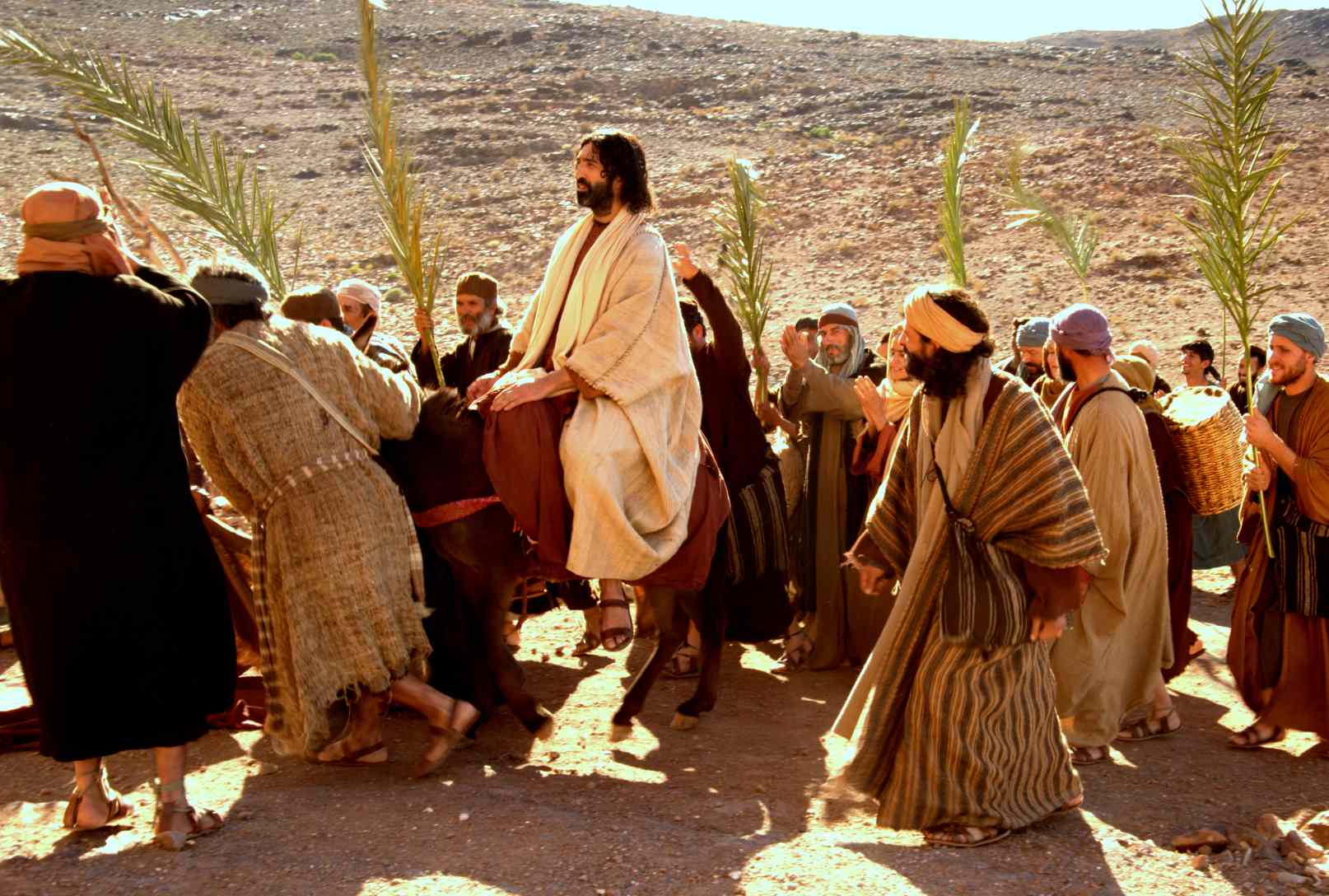Palm Sunday: 'Behold, your king is