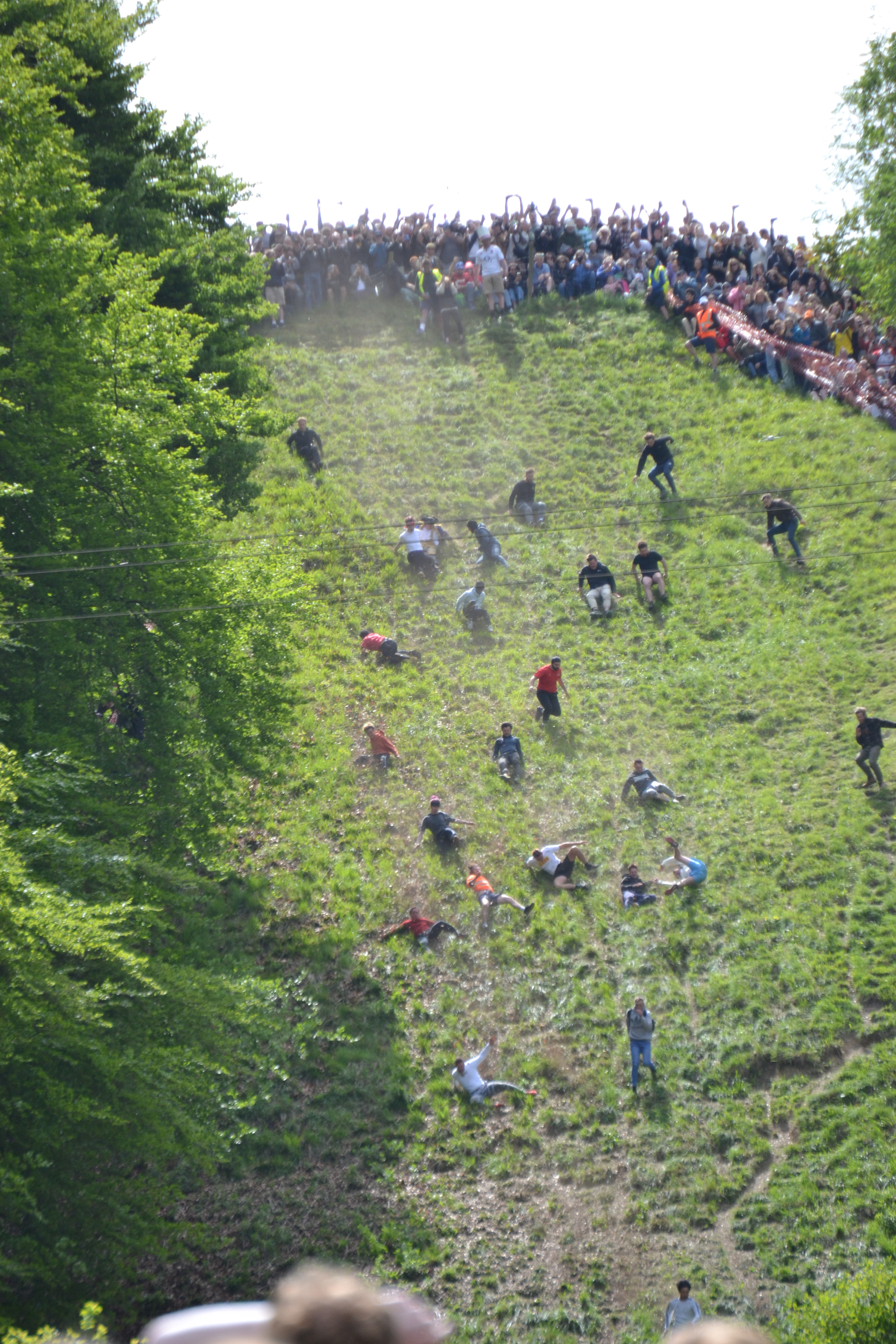 Hill Cheese rolling