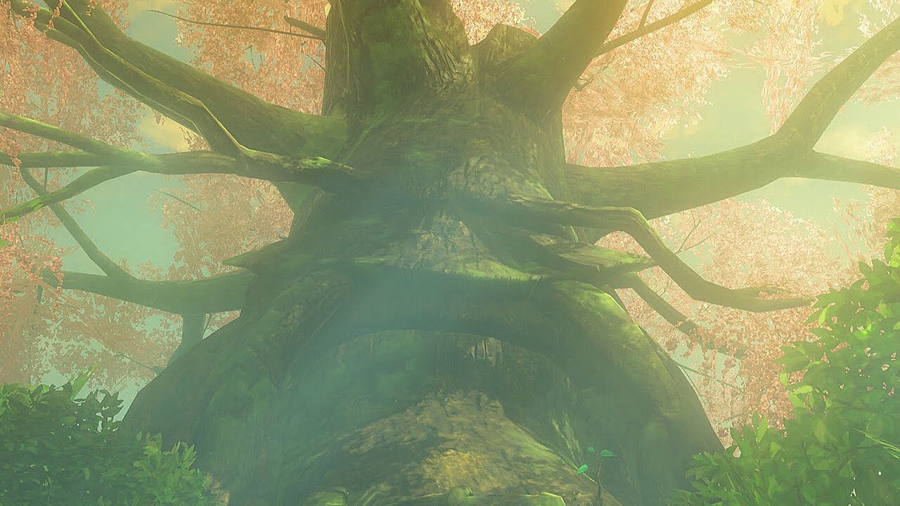 Zelda: Breath of the Wild. Great Deku Tree