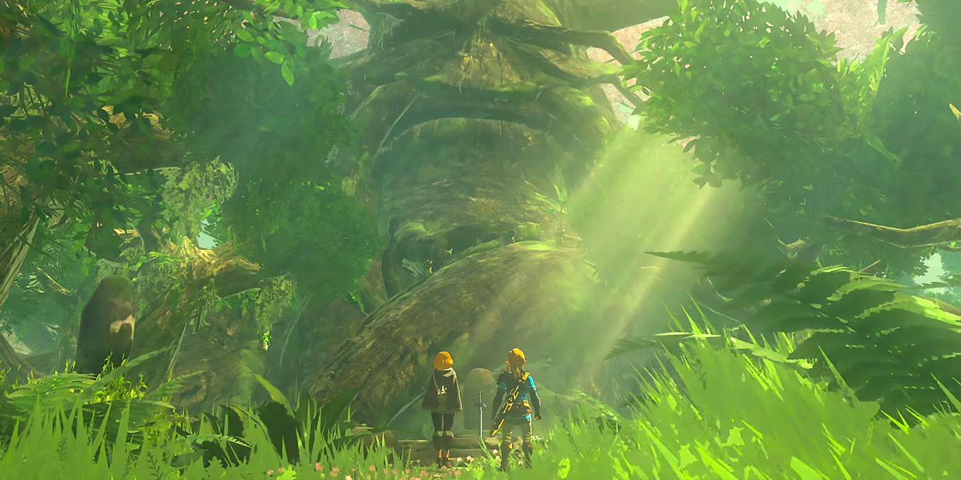 Tears of the Kingdom Master Sword Guide