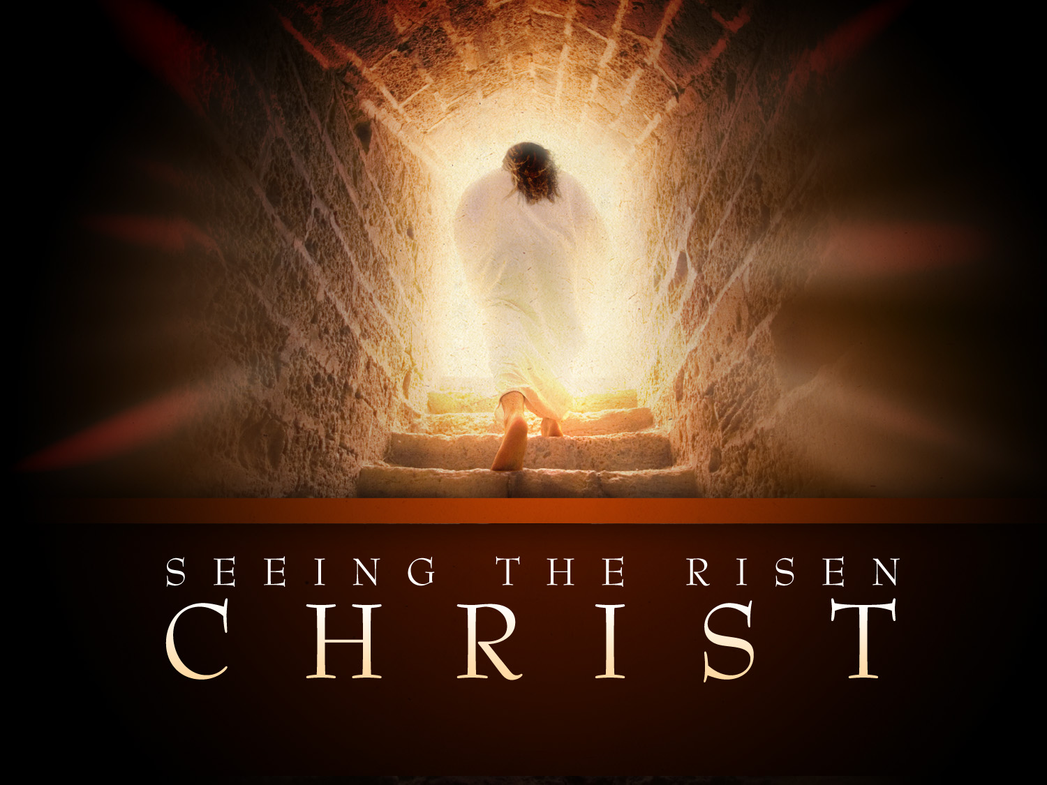 Risen Christ: Exposition of Luke 24