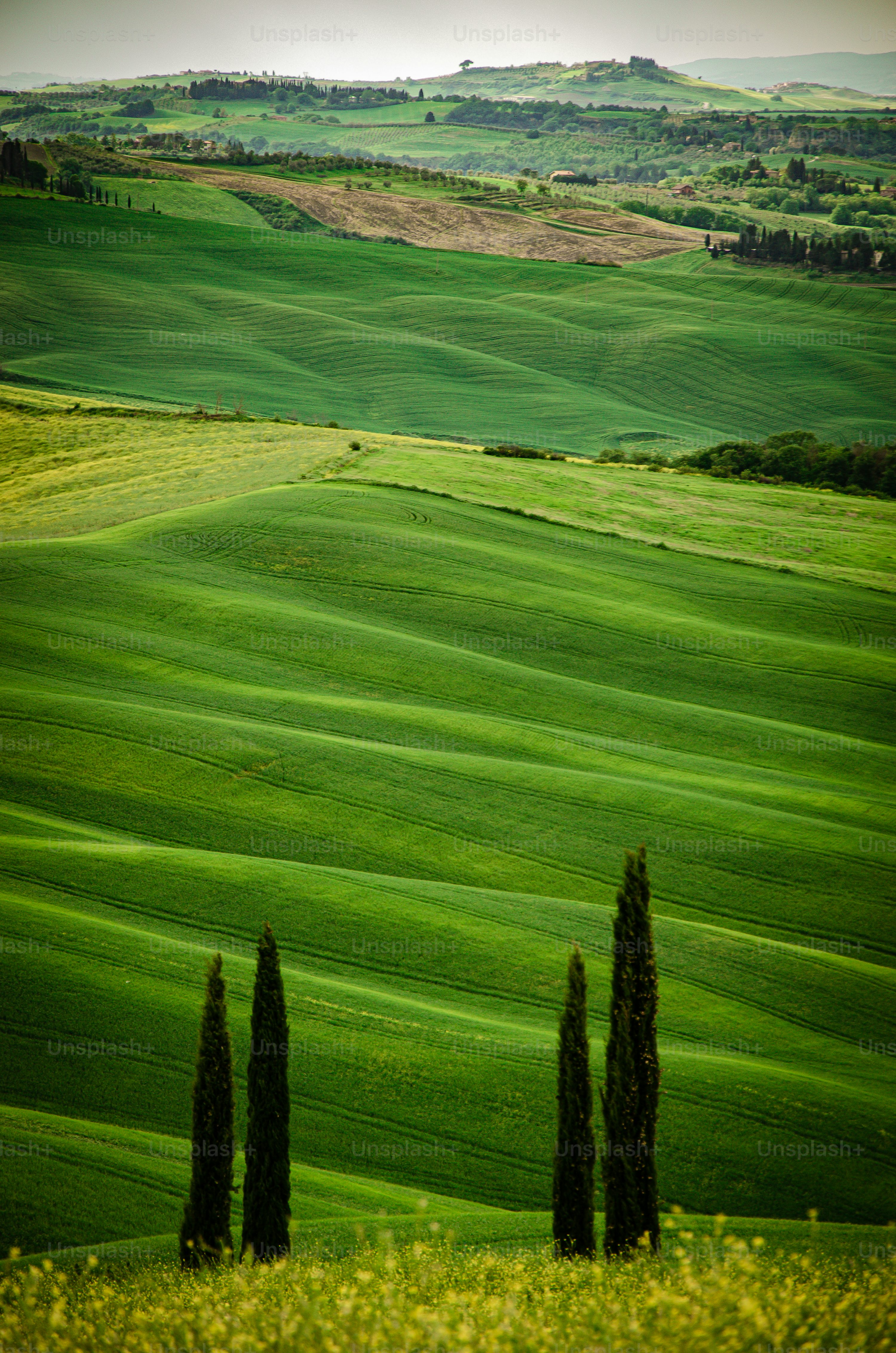 Green Pasture Picture [HD]. Download