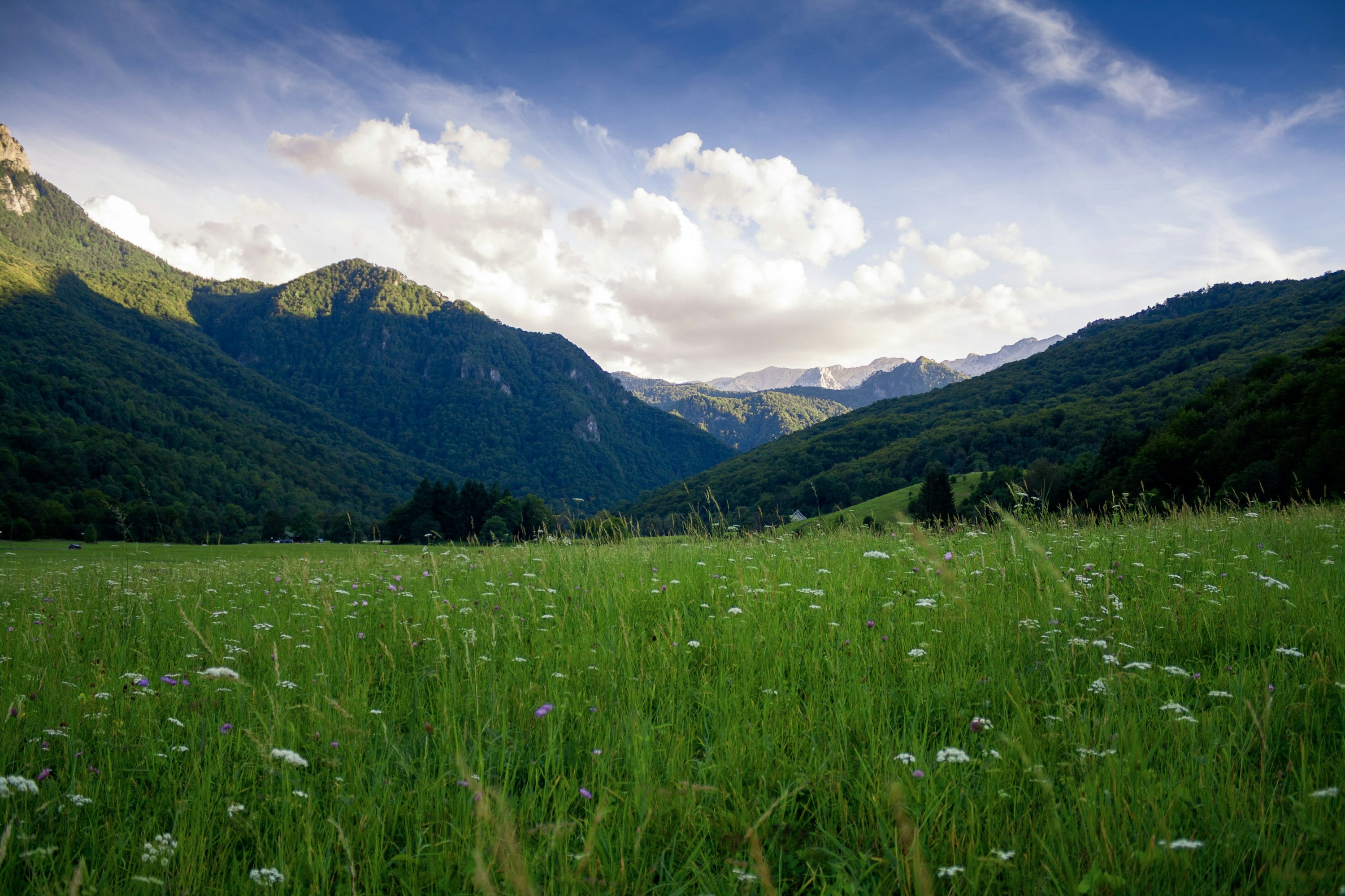 Green Pastures Picture. Download Free