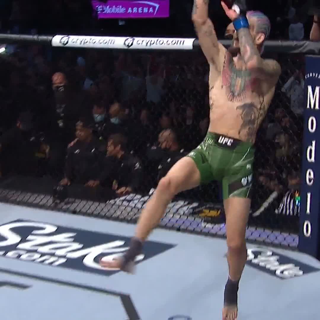 UFC Europe SEAN O'MALLEY IN