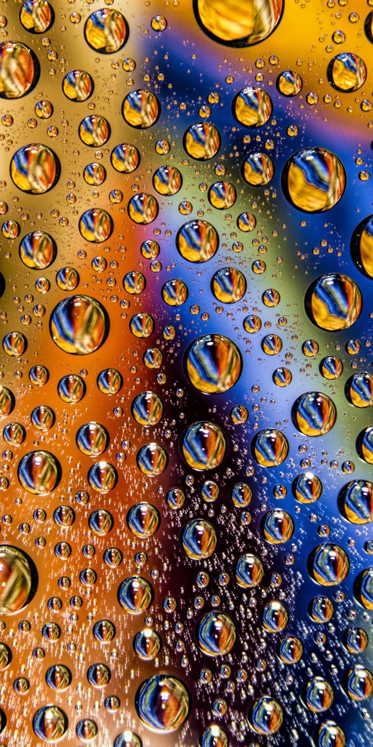 wet surface, colorful, 1080x2160 wallpaper