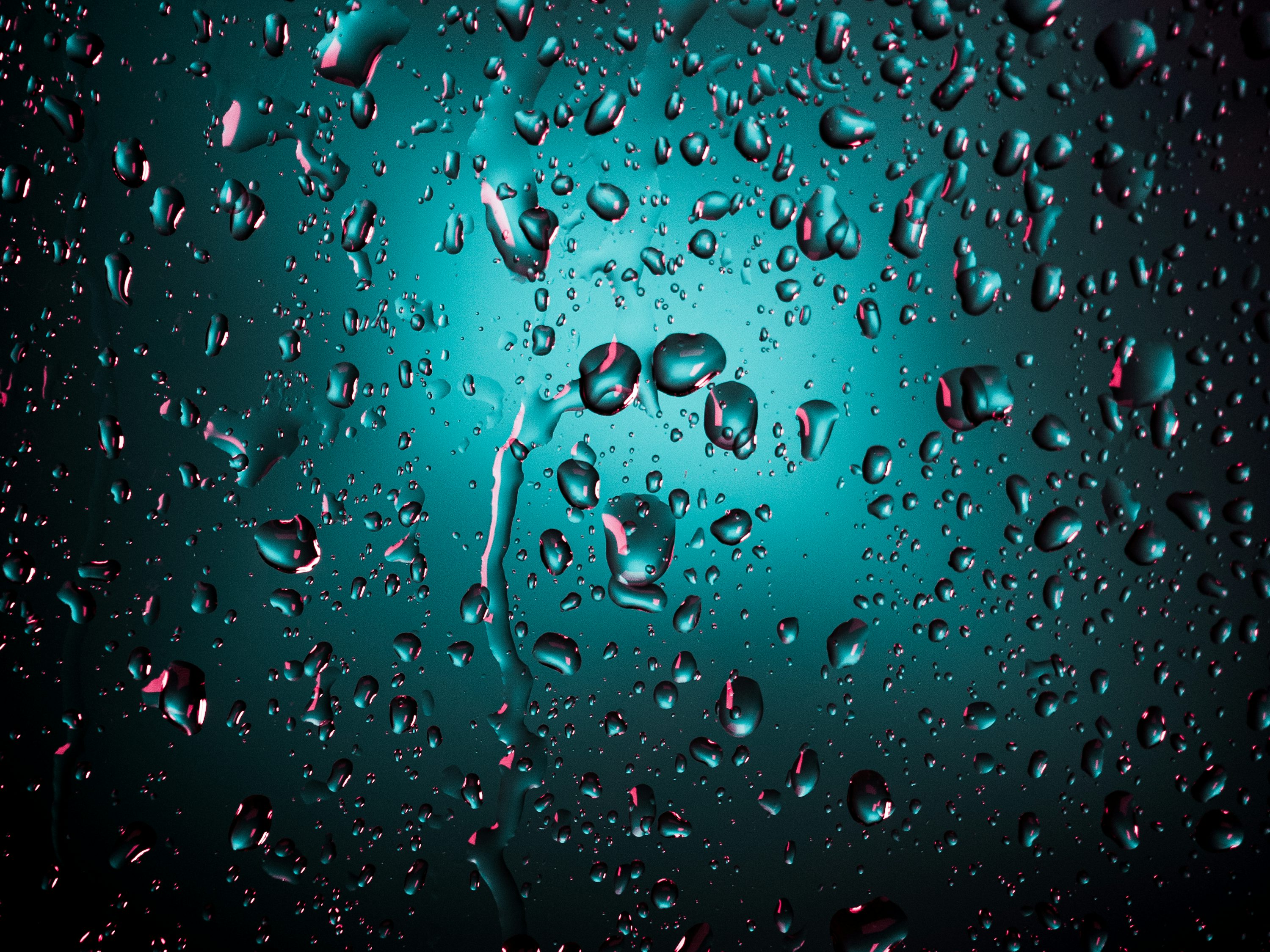 Water Droplets Picture. Download Free