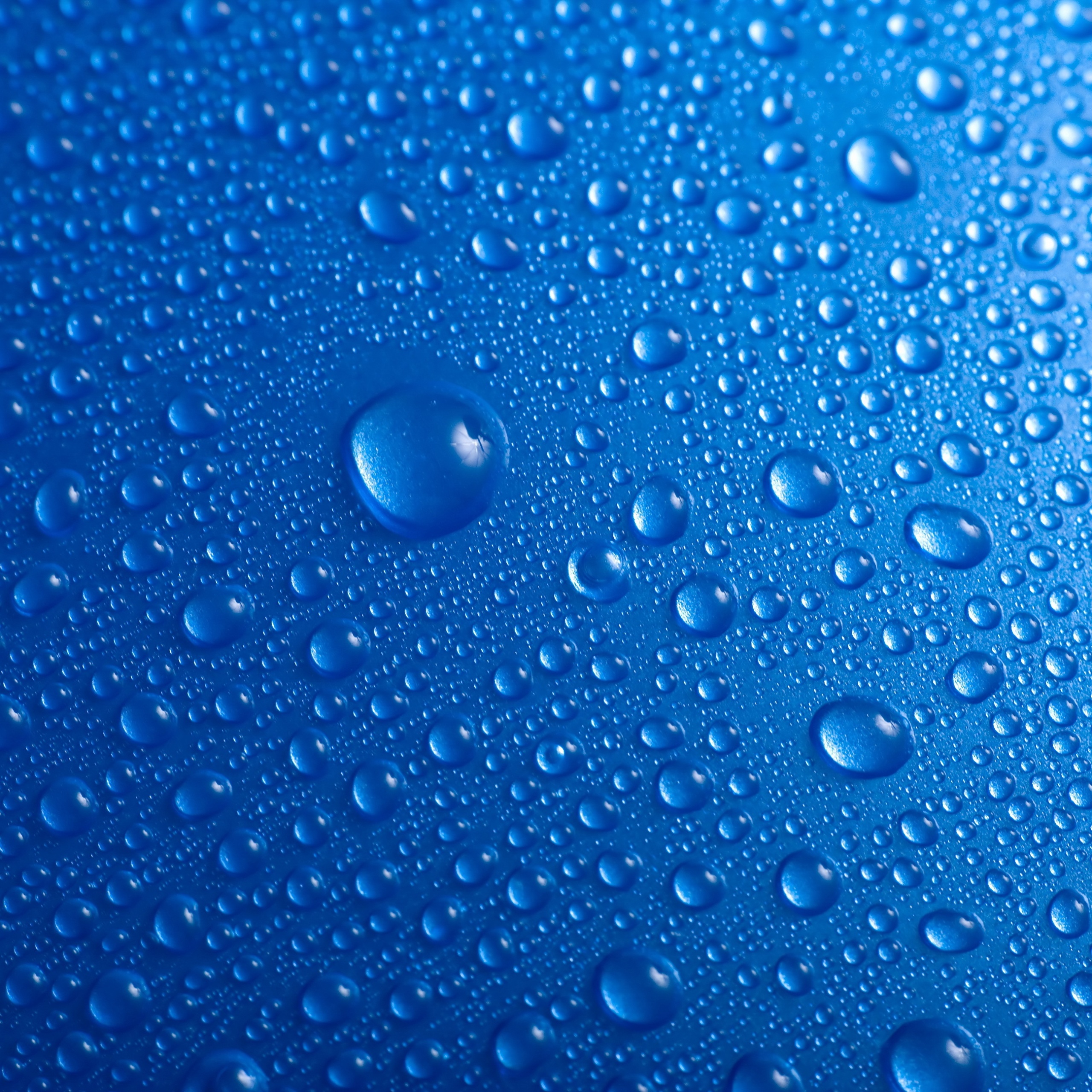 Droplets Wallpaper 4K, Blue background
