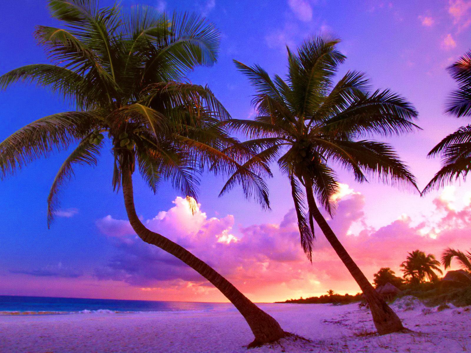 Sunset Sky Beach Tropical Nature