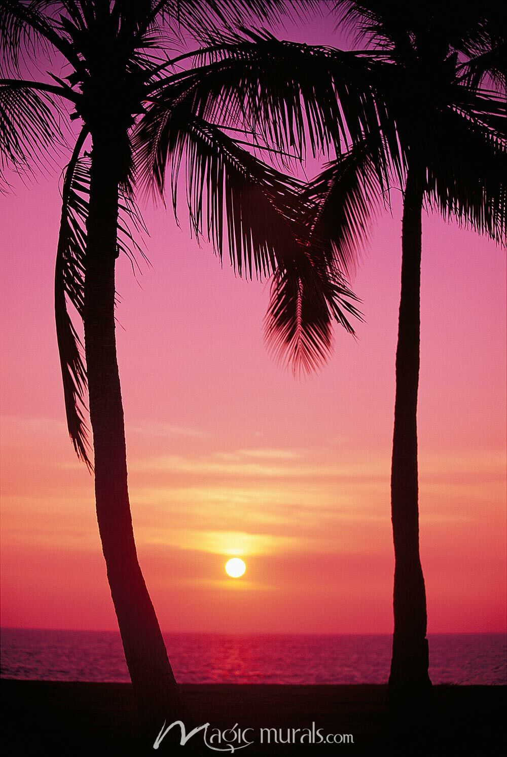 Sunset Between Two Palm Trees Wallpaper