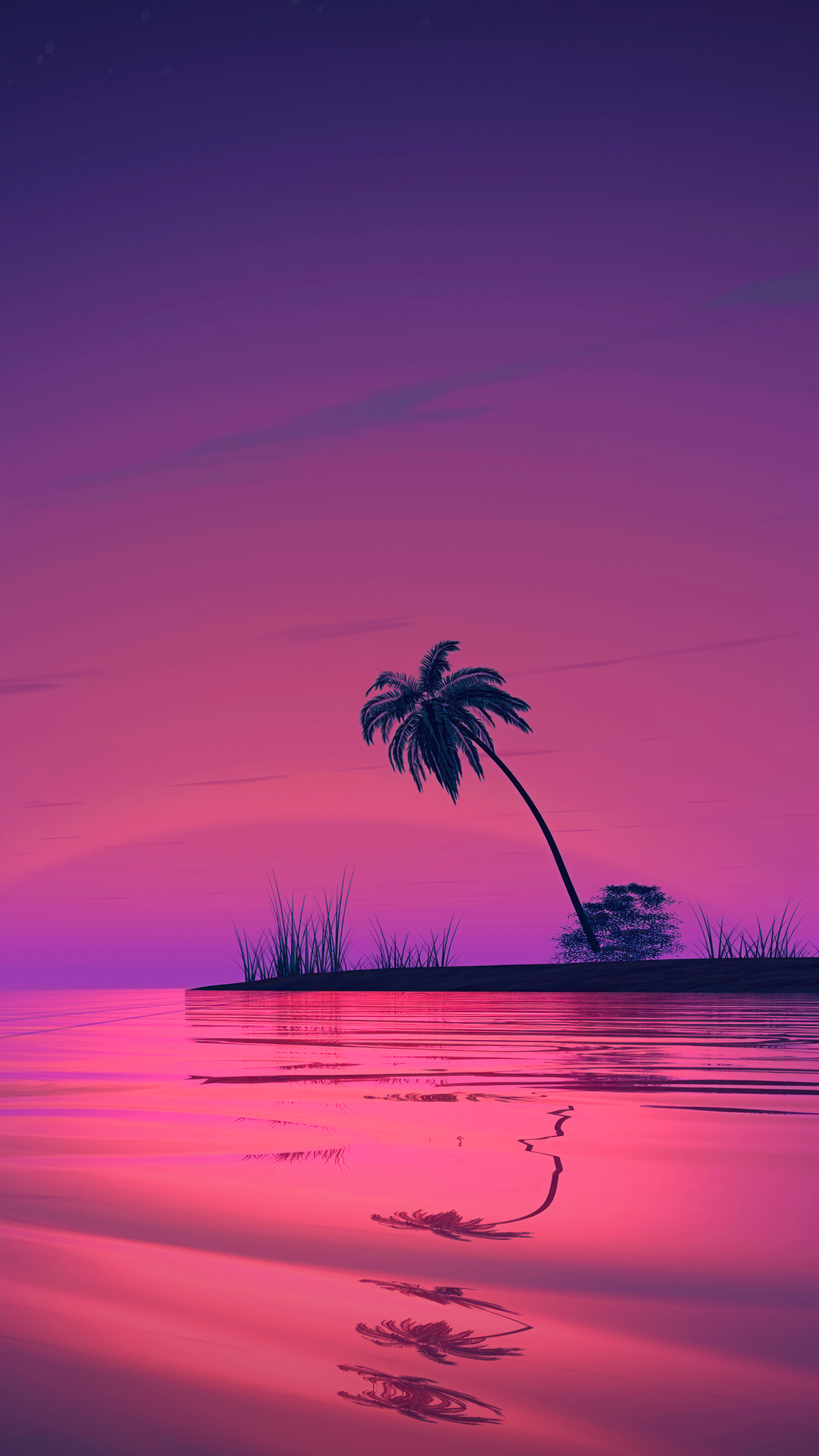 Sunset Palm Tree Scenery 4K Wallpaper
