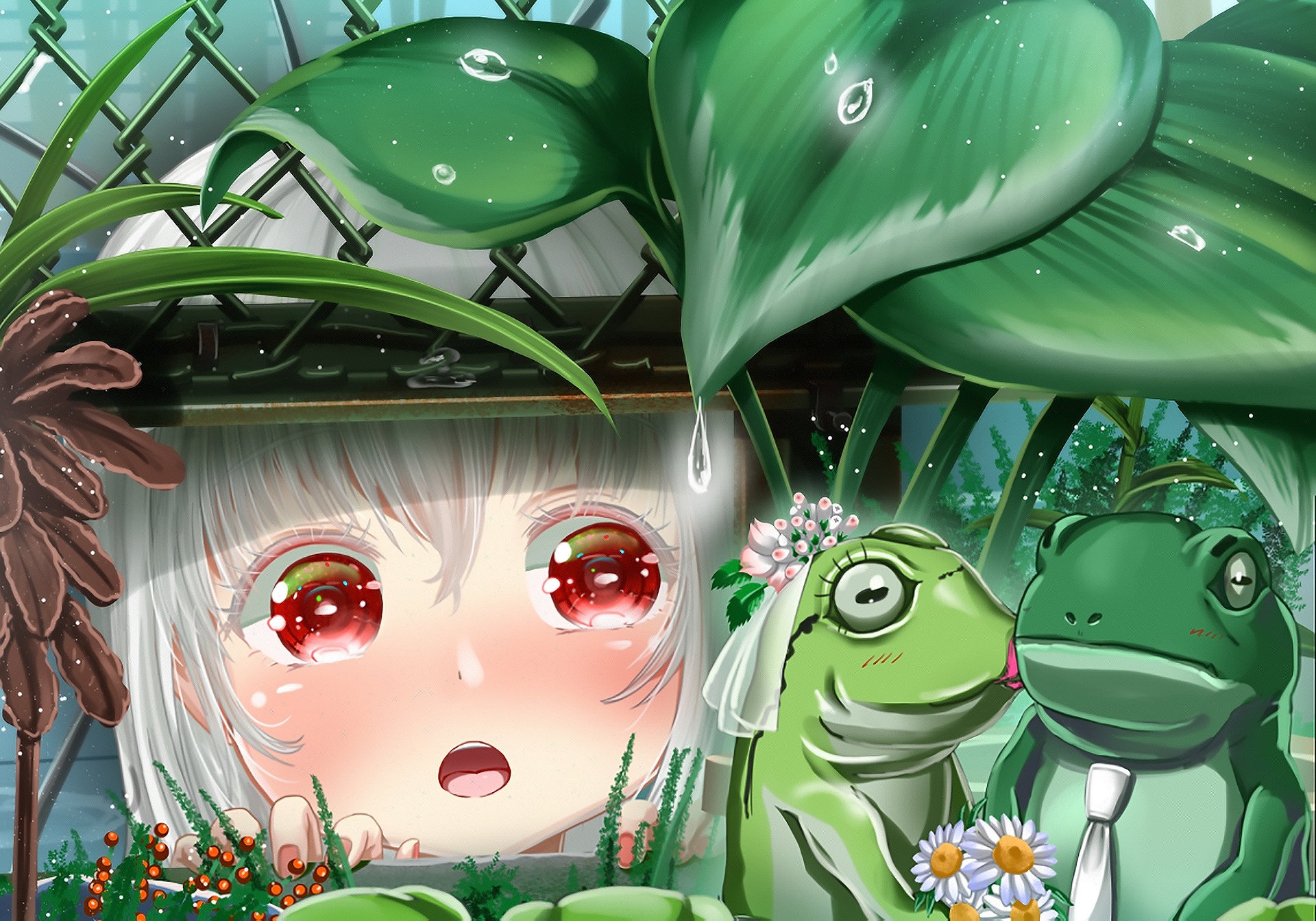 White Hair Red Eyes Frog Anime Original