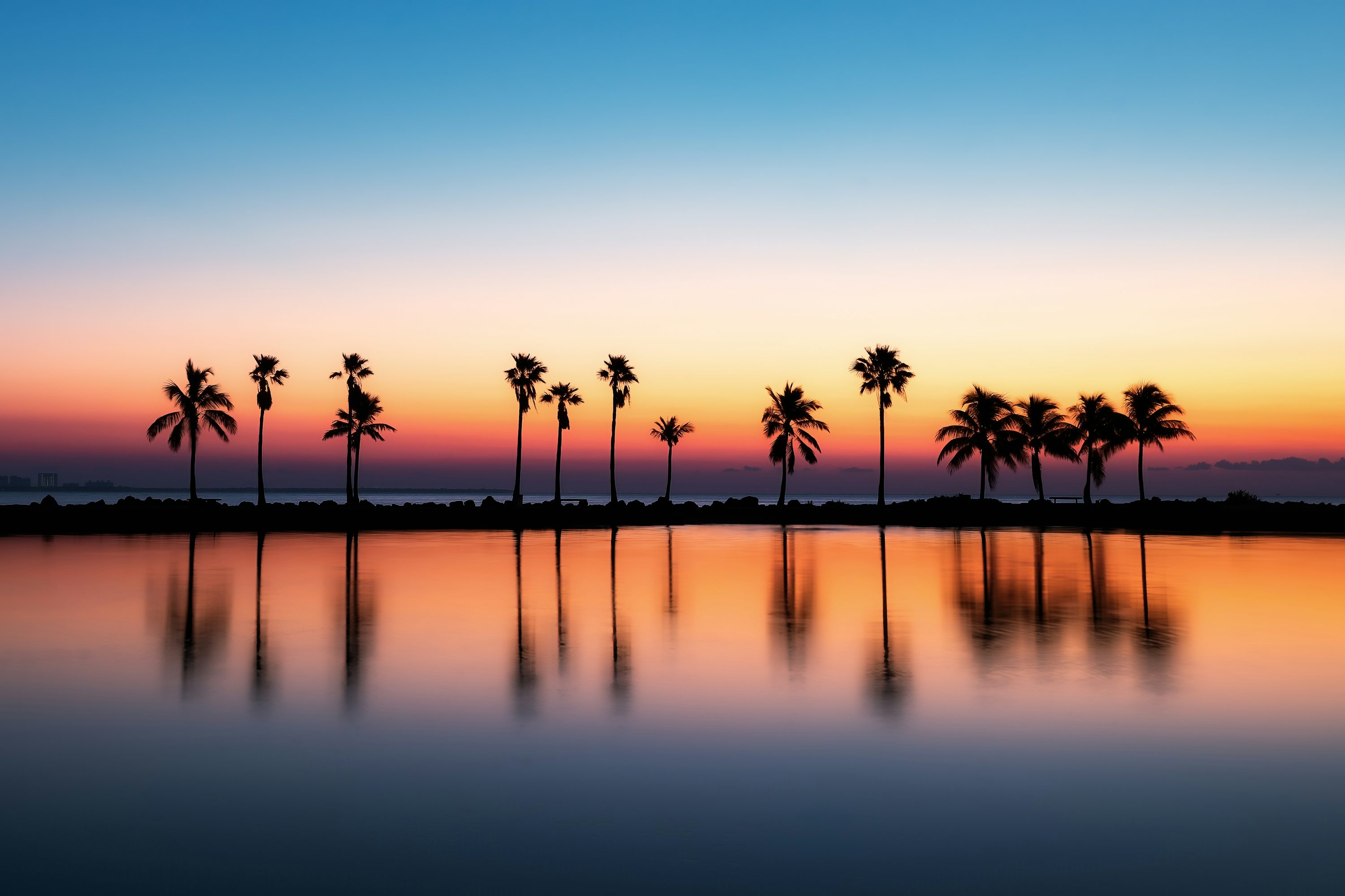 Palm Tree Sunset Picture. Download