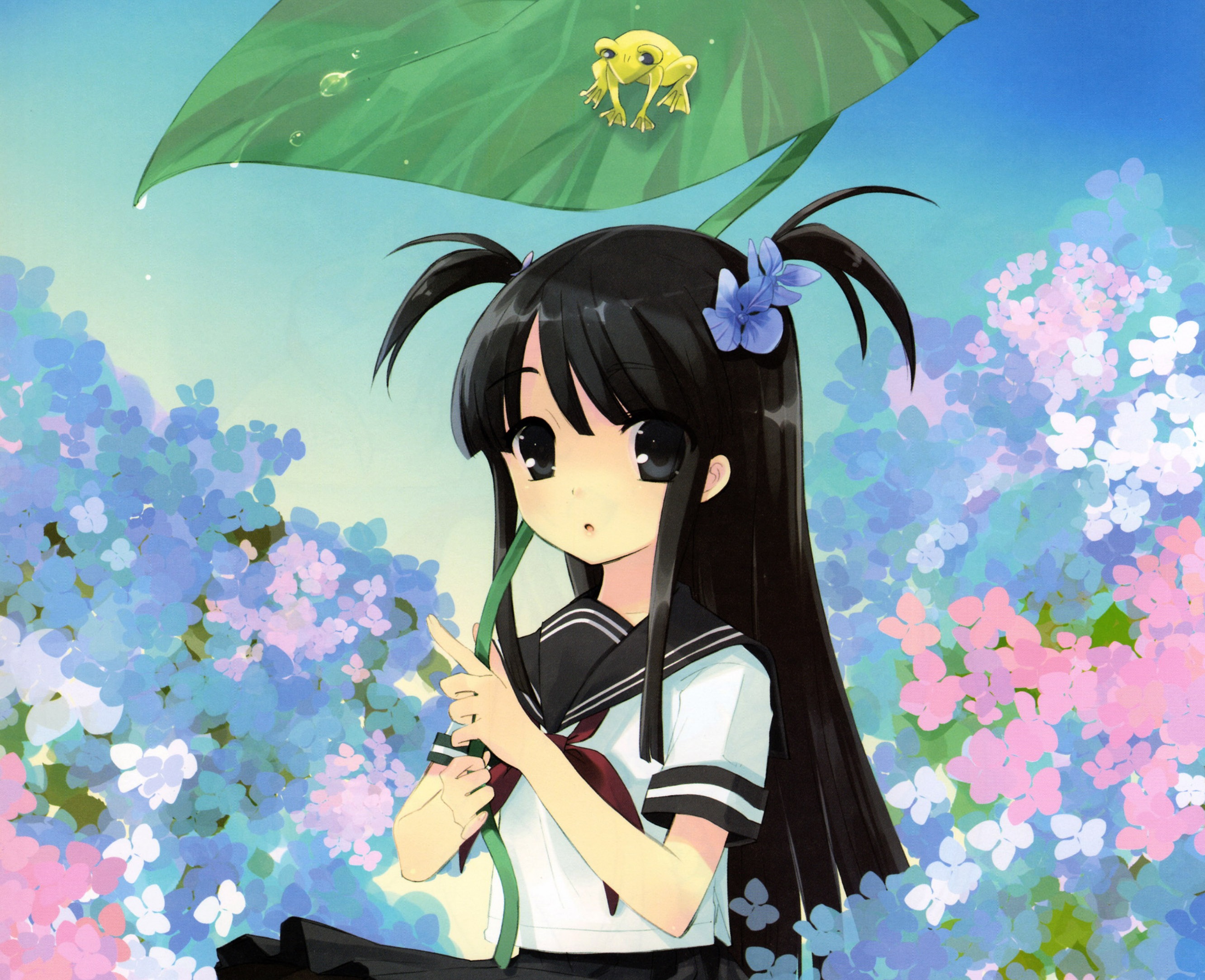 Hair Flower Frog Anime Original