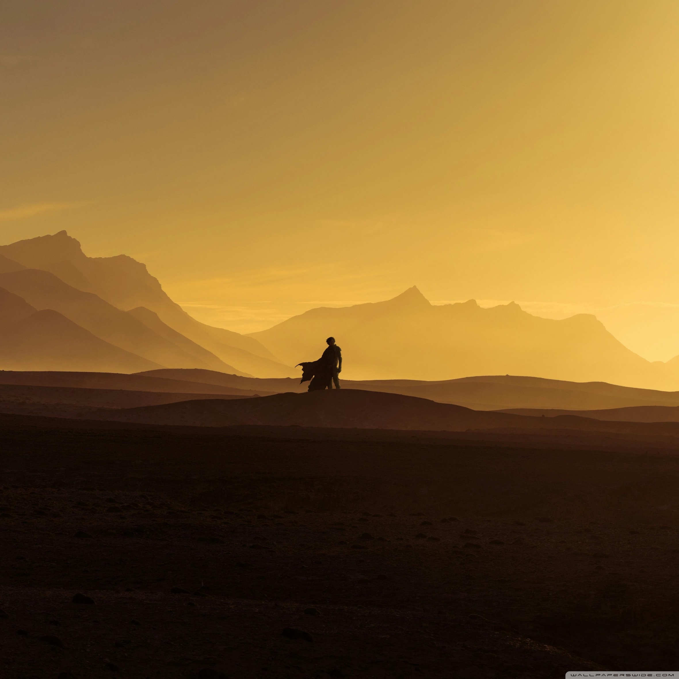 Paul Ultra HD Wallpaper for 4K UHD TV