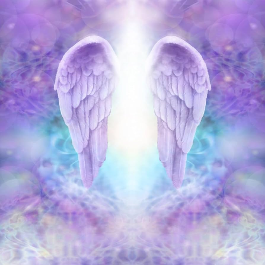 AOFOTO 5x5ft Fantasy Angel Wings
