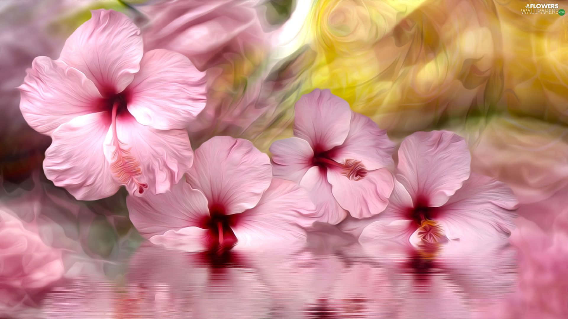 Download Vibrant Pink Hibiscus