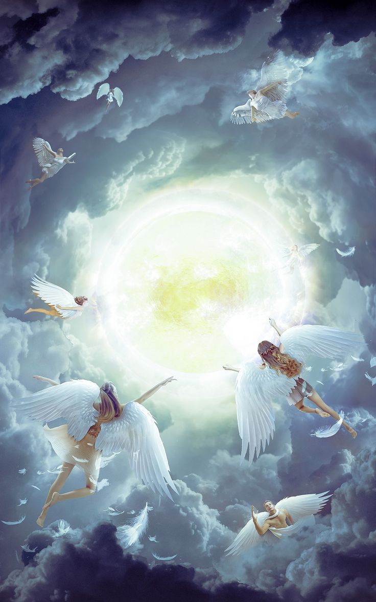 Angel picture