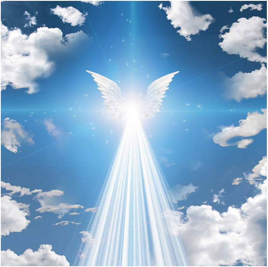 DORCEV 10x10ft Angel Wings Backdrop