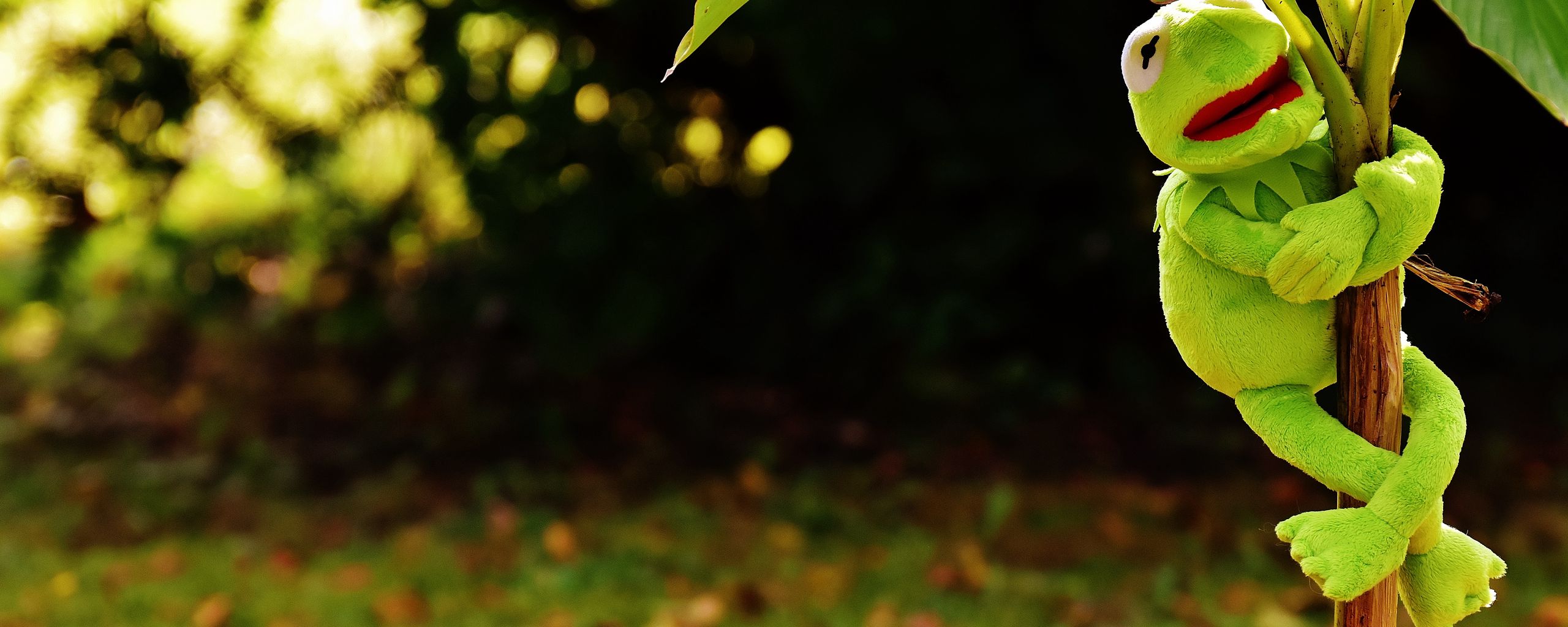 wallpaper 2560x1024 toy, kermit