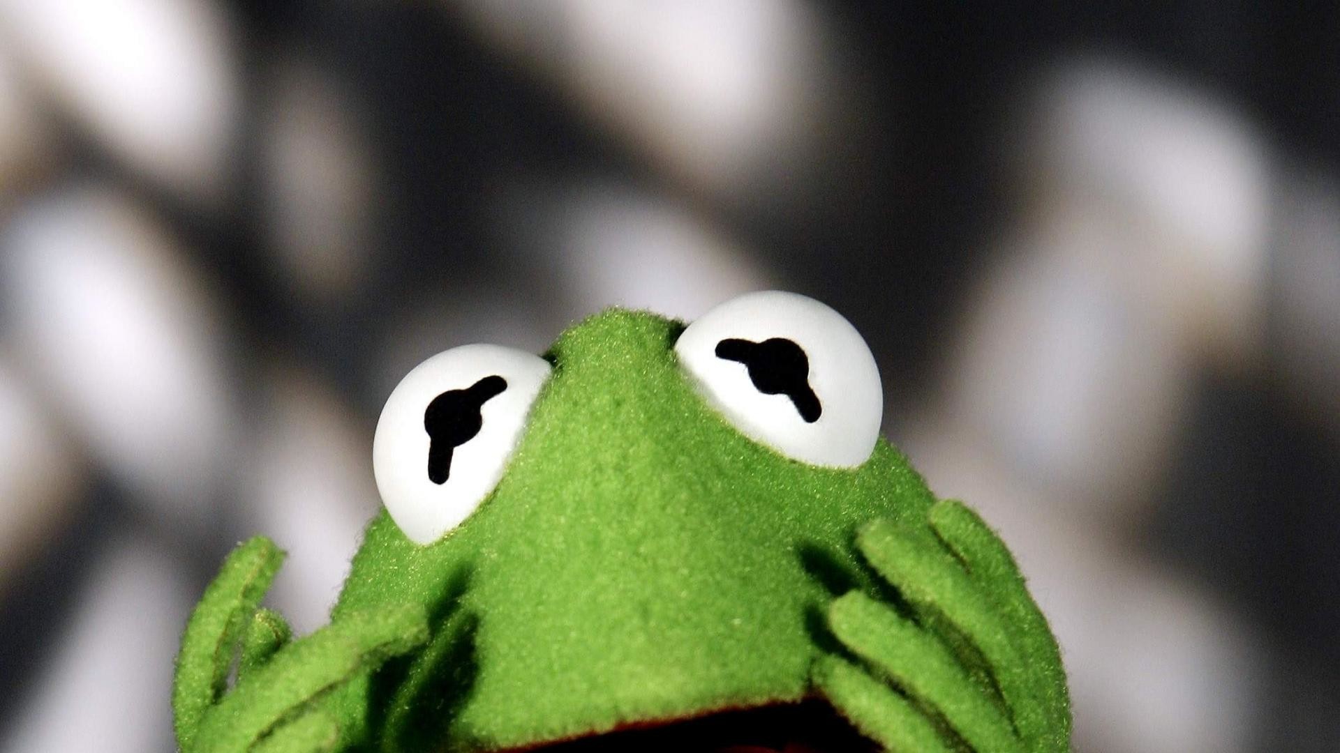 Kermit the frog wallpaper