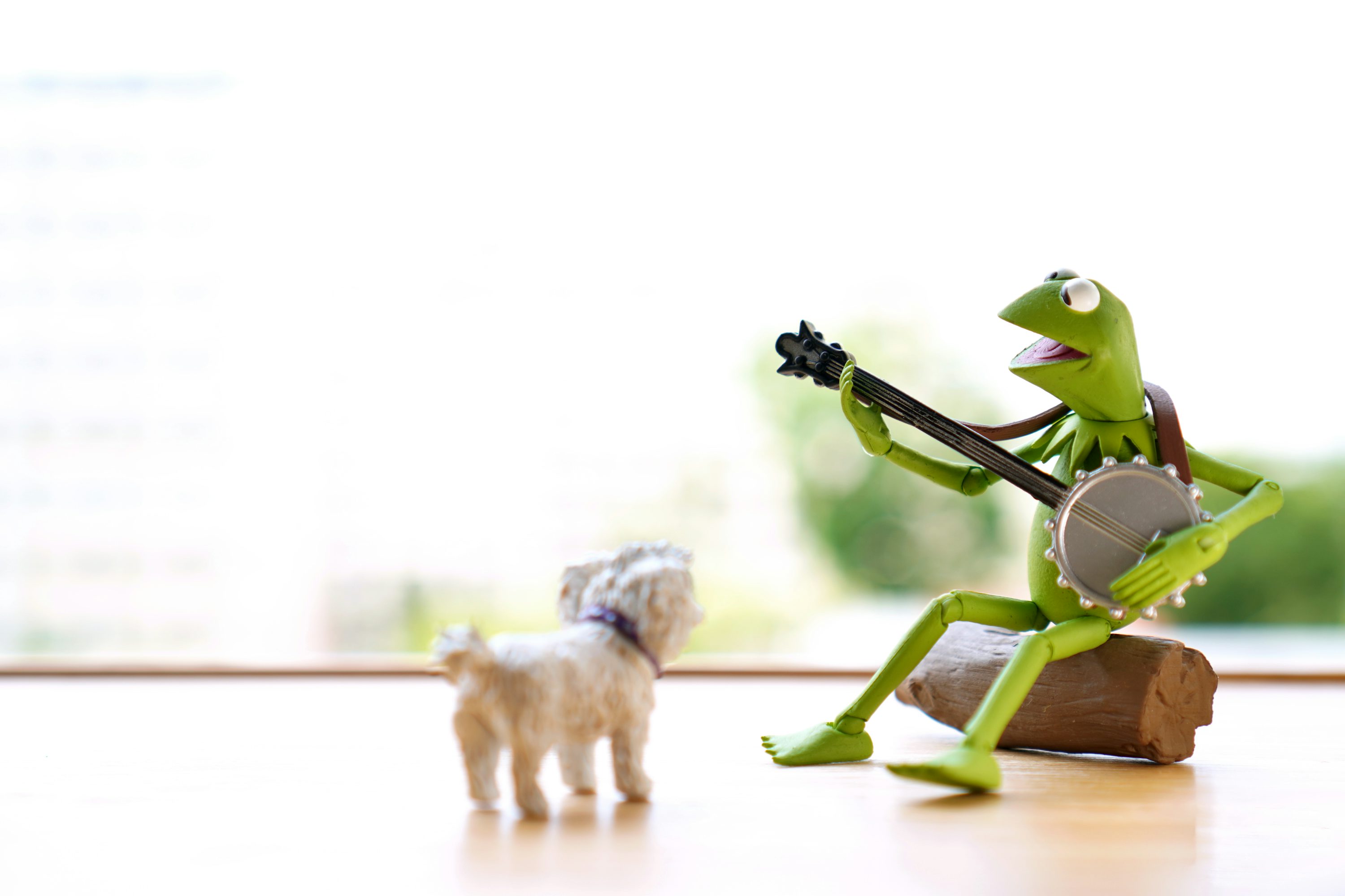Kermit Picture. Download Free Image