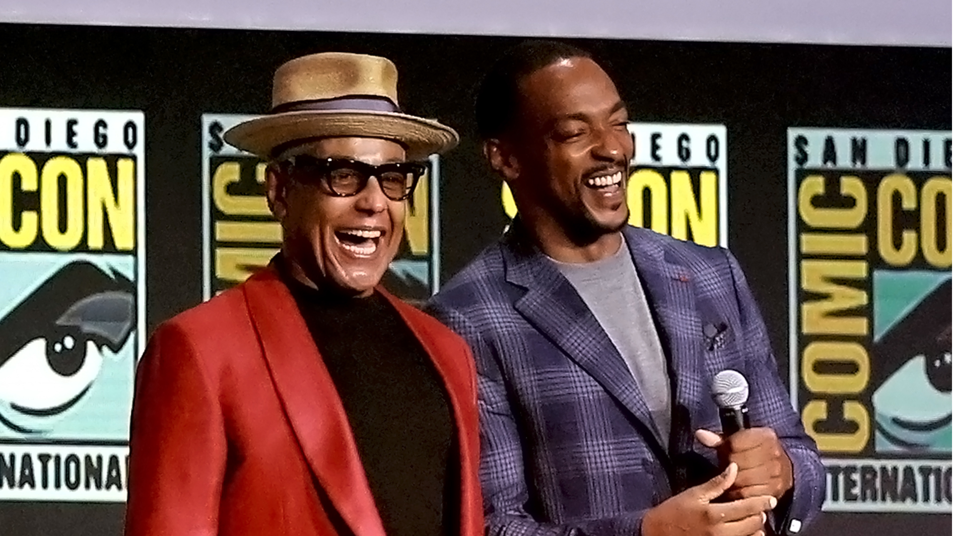San Diego Comic Con 2024 Panel