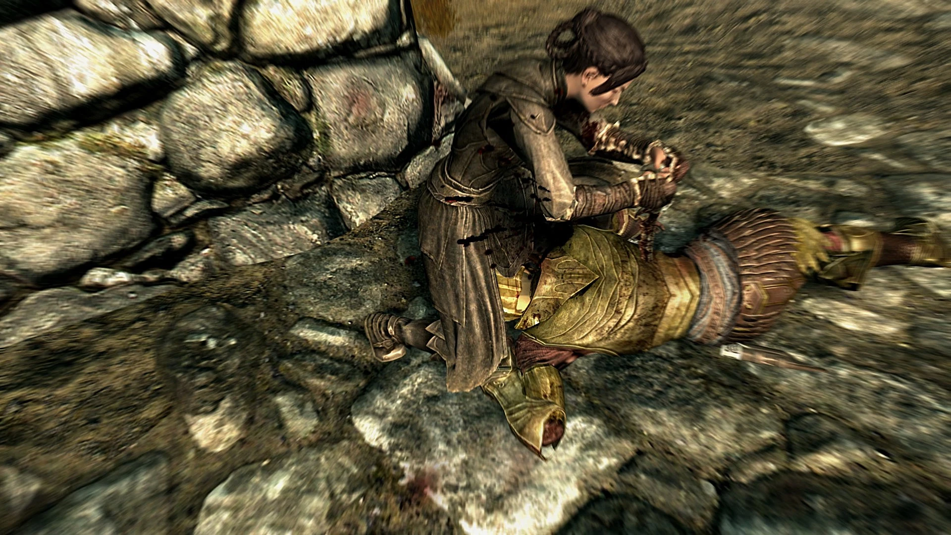 Skyrim Special Edition Nexus