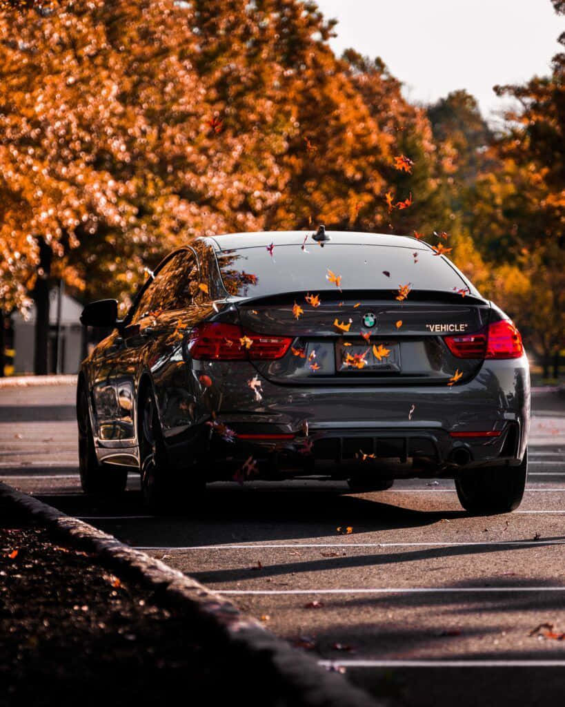 Bmw M iPhone Wallpaper