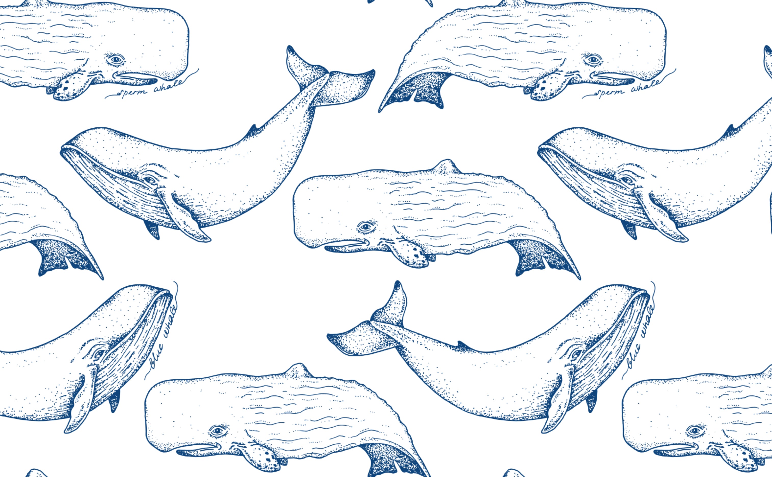 Whales Wallpaper for Walls. Captain