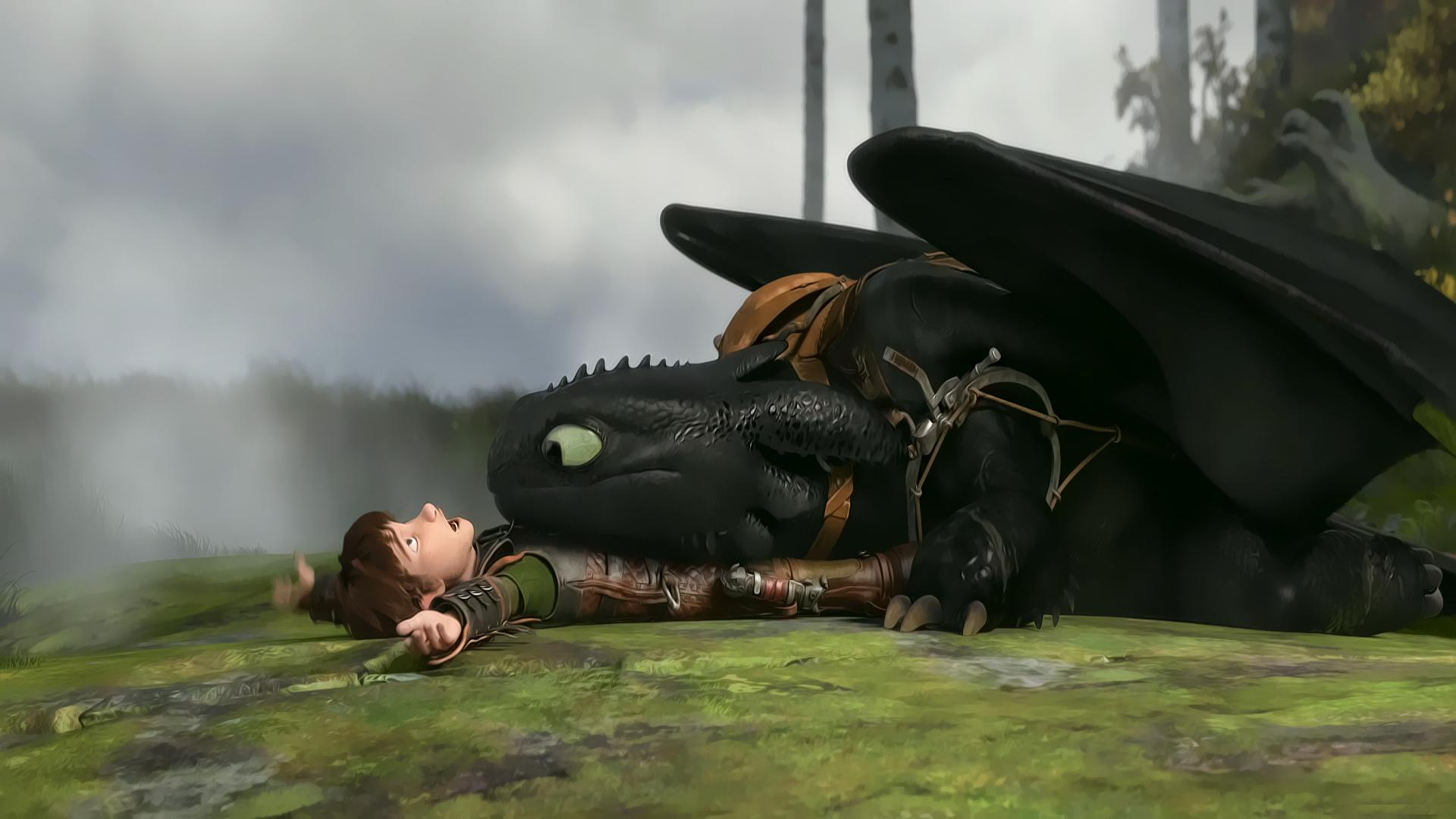 Your Dragon) Hiccup
