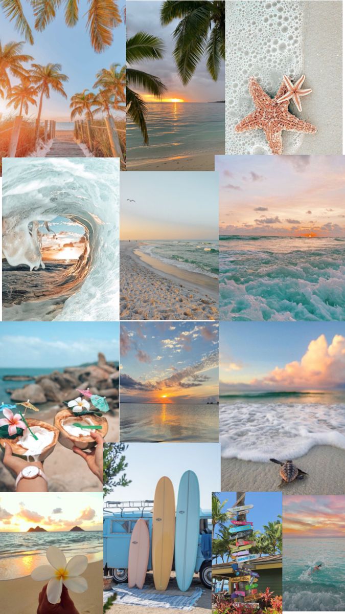 Tropical Beach Collage Wallpaper