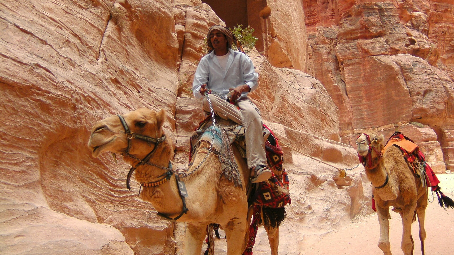 Do I need a tour guide in Petra
