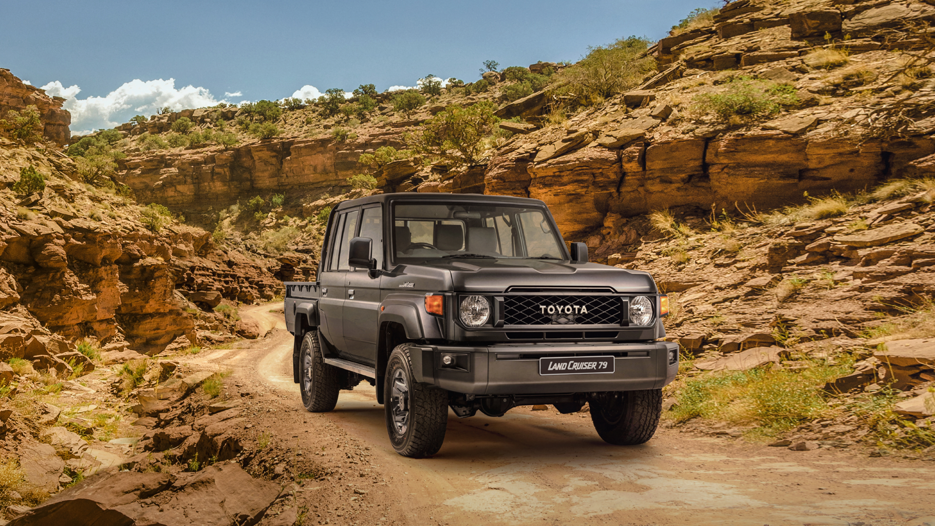 Land Cruiser 79x4. Pick Up