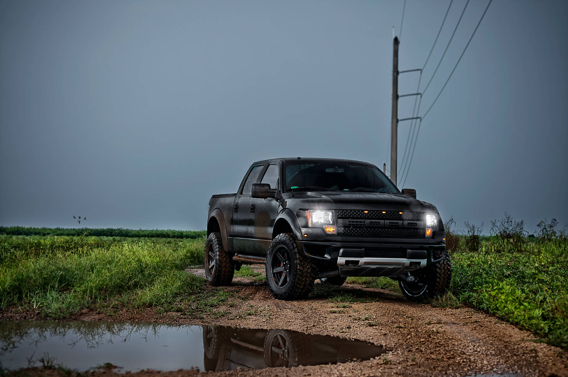 Download Ford Raptor In Jet Black Paint