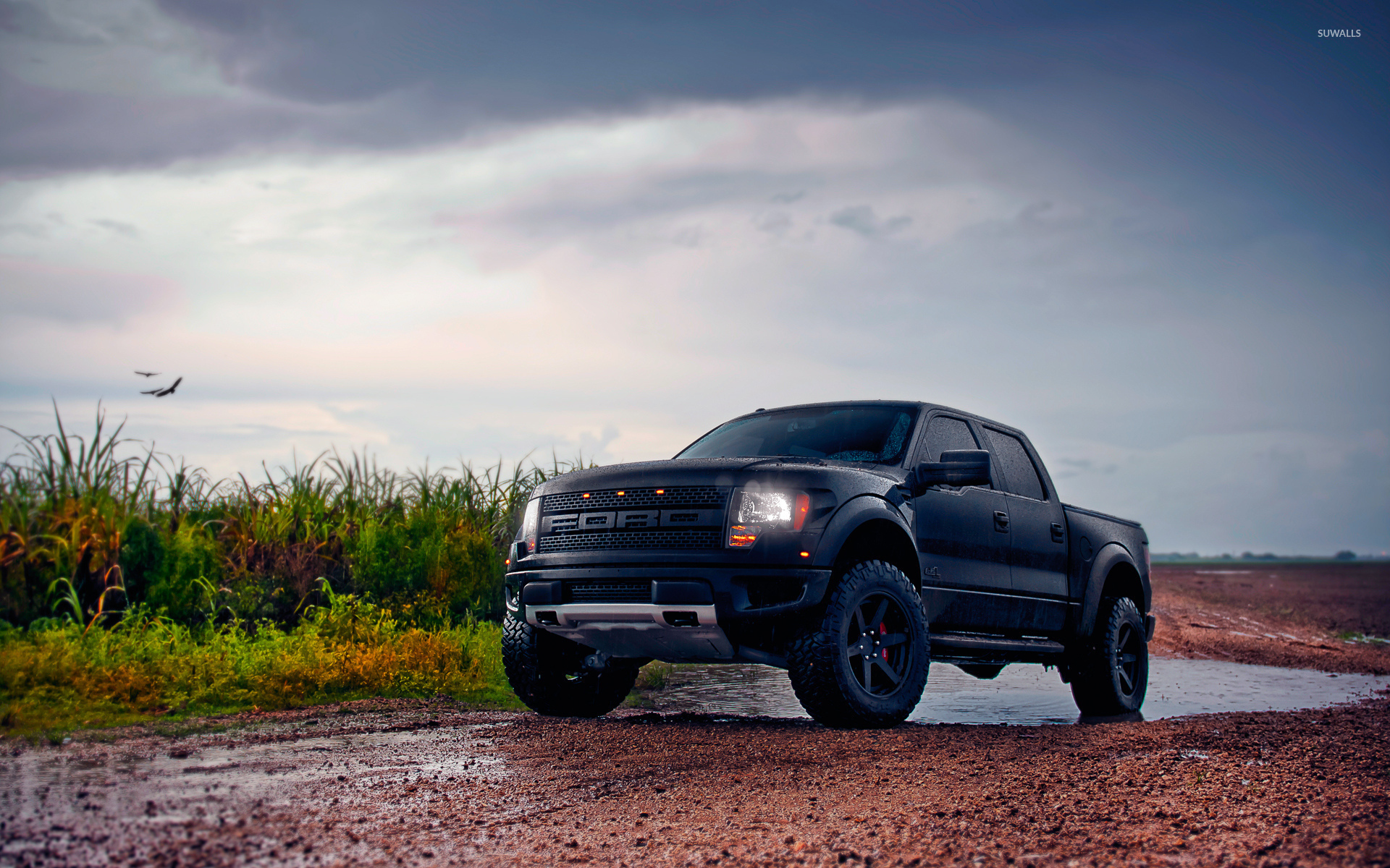Black Ford F 150 Raptor Wallpaper
