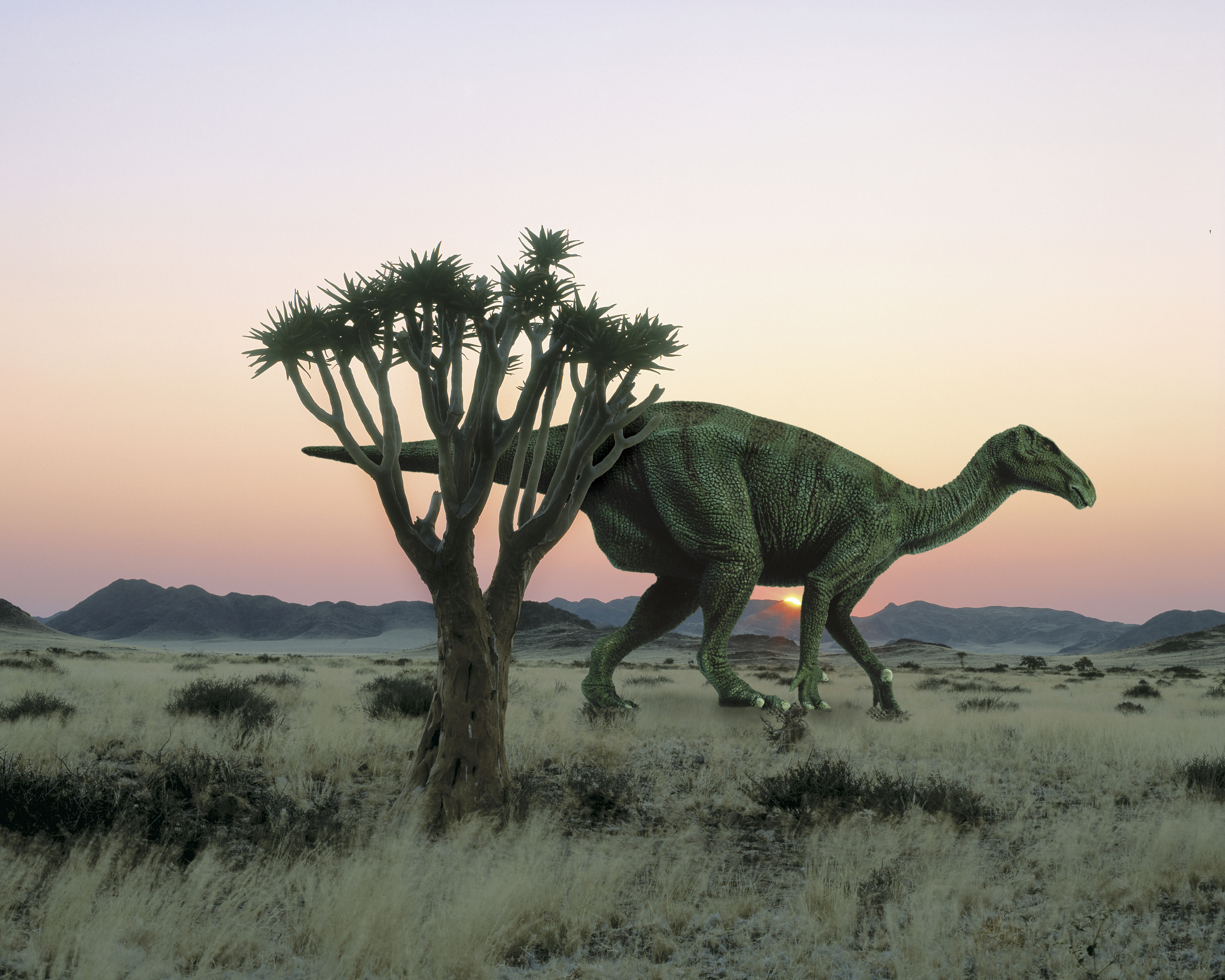 Iguanodon 2 Mural Zuckerman