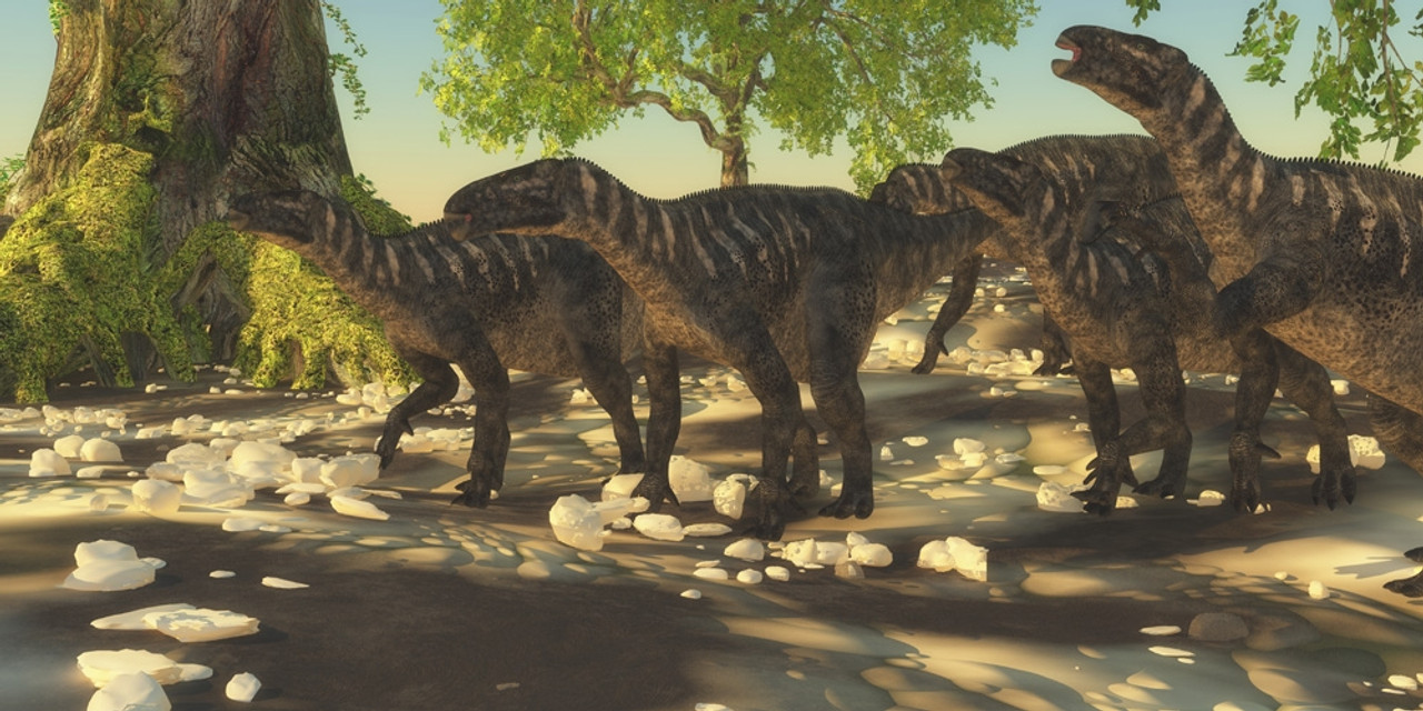 A herd of herbivorous Iguanodon