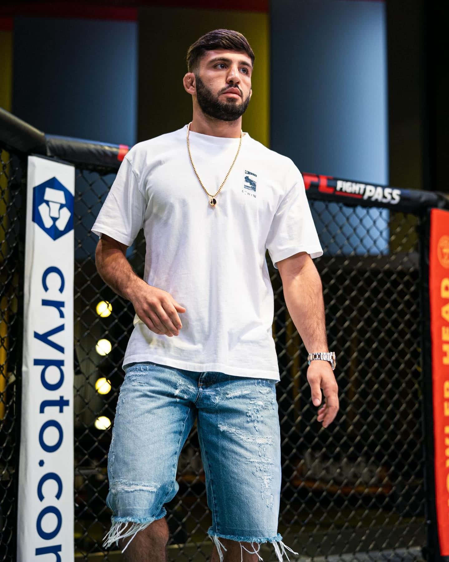 MMA Fight. Wallpaper