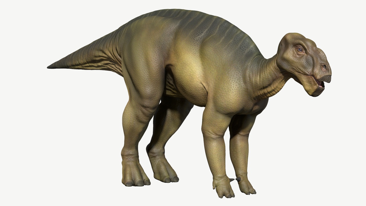 Iguanodon
